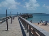 muelle-temp2011