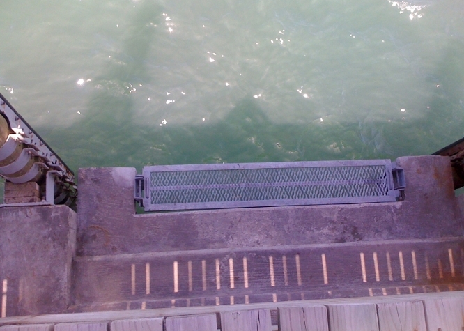 muelle-escalon-regulable