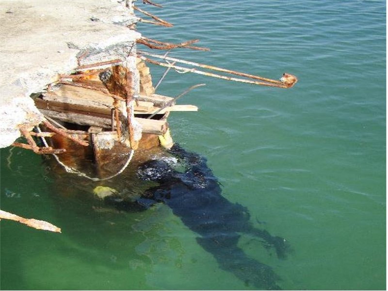 muelle-f3-buzo-set2010