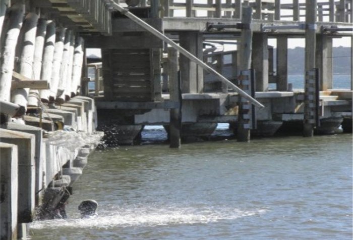 muelle 2 2