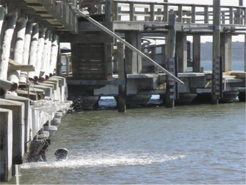 muelle 2 2