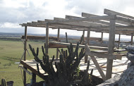 Deck Jul2010