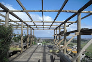 Deck Mesas jul2010