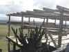 Deck Jul2010