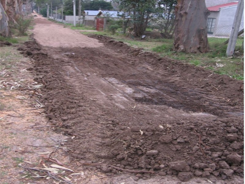vereda mitracon