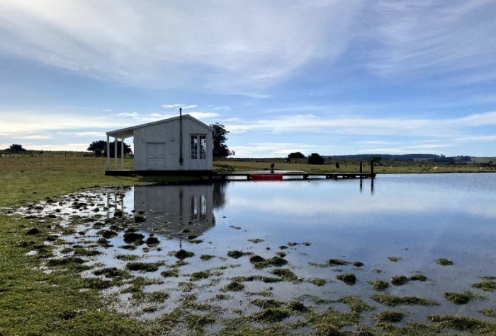 muelle1
