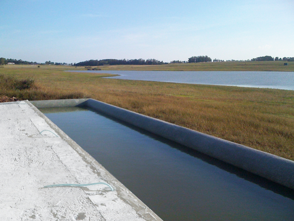 piscina (5)